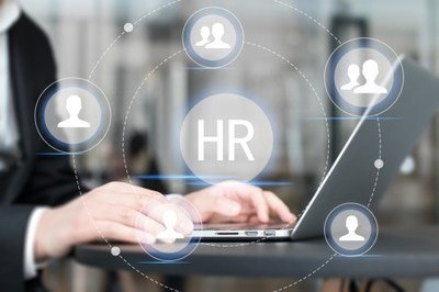 人力资源管理全攻略 从策略到实践，打造高效能组织